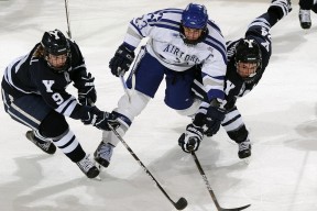 爱游戏体育（AYX）官方APP下载-跳水技术提升中立代表队A得分稳定，跳水队规则